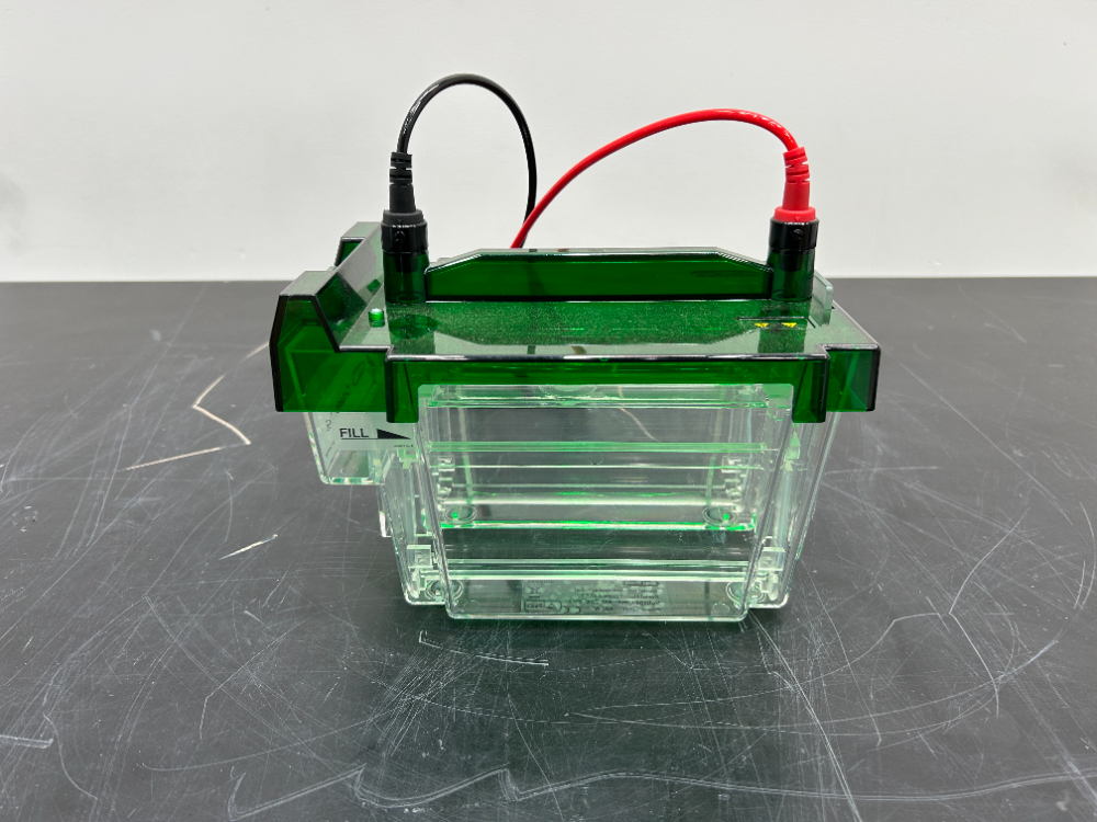 Image of Bio-Rad Criterion Cell